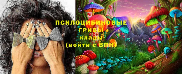 шишки Верхнеуральск