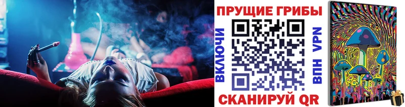 Галлюциногенные грибы Psilocybe  Купить  Лянтор 