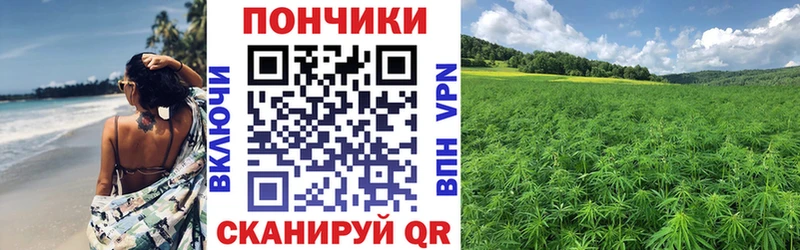 Купить где  Лянтор  Бошки марихуана семена 